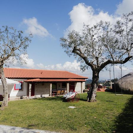 Penedo Village Marco de Canavezes المظهر الخارجي الصورة